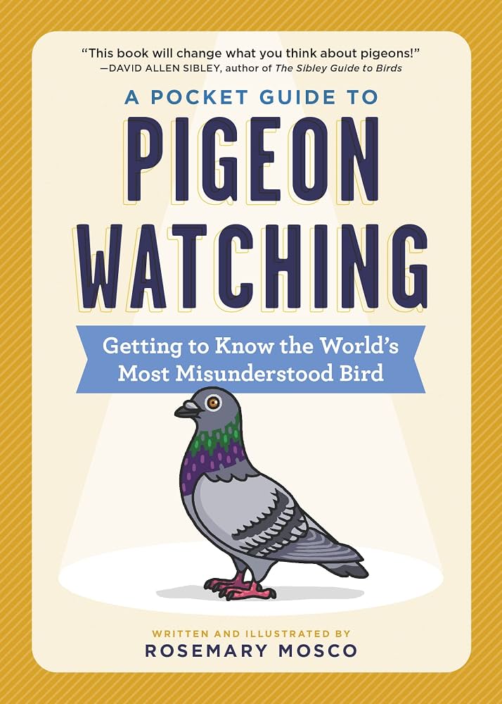 Cover of Pigeon Watching
